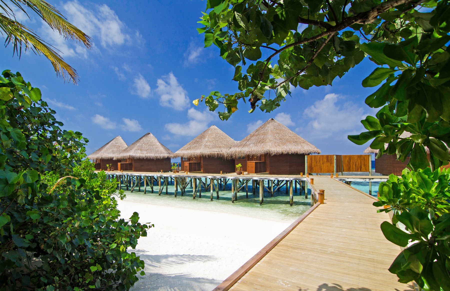 V Villas Maldives at Mirihi MGallery Collection